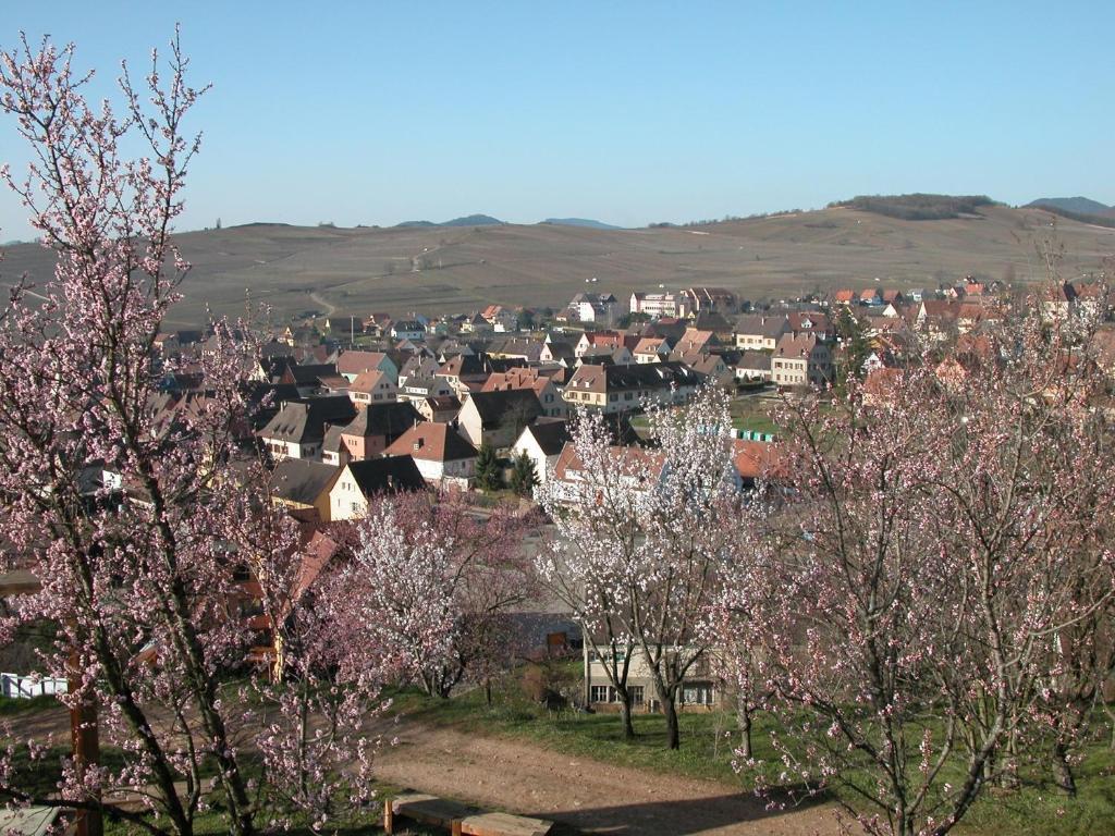 Gite Des Merles Mittelwihr Esterno foto
